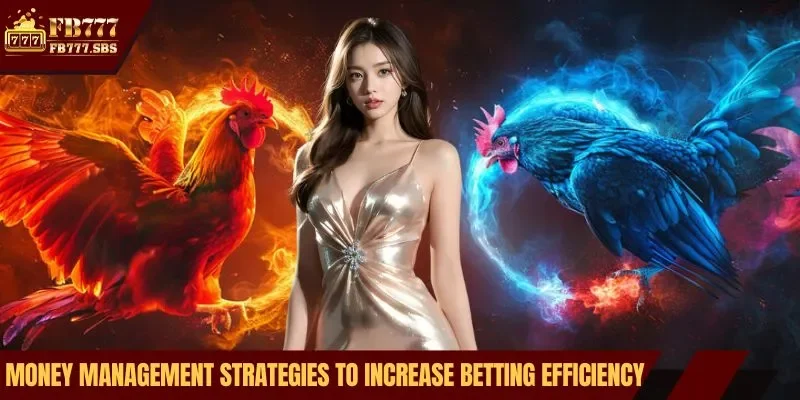 Money management strategies to increase betting efficiency