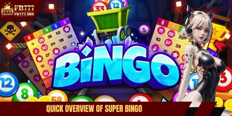 Quick overview of Super Bingo